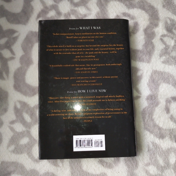 The Bride's Farewell Meg Rosoff historial fiction romance young adult novel - Picture 6 of 8